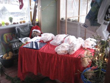 Det er den julemad ,som mor har solgt til nogle mennesker ,der kom for at hente den i går.Der var 16 pakker og de skal allesammen sælges.