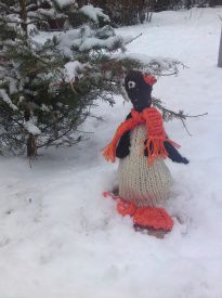 Mor har strikket et dyr.Den hedder en pingvin. Den bor ,hvor der er is og sne ,så derfor skal den bo i vores have.Vi må ikke hapse den ,men Vimmer gjorde det alligevel i går. Hun hapsede den og tog den med ind i stuen.Det må hun ikke.
