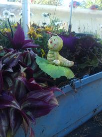 Den lille grønne orm er ikke rigtig
den sidder ude i plantekassen på terrassen