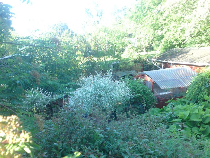 Sådan ser haven ud set fra terrassen .Det er garage-taget du kan se lidt af . Det bliver alt sammen til blomster.Er det ikke flot?