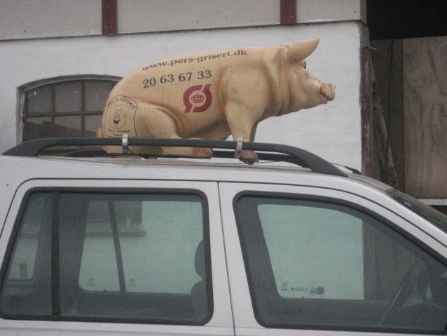 der var også grise på bilerne