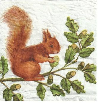 Dyret hedder egern.Det bor ude i haven.Dette her dyr var på en serviet, som mor havde med hjem fra høstfesten.
Er den ikke flot?